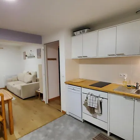 Cosy A La Montagne 公寓